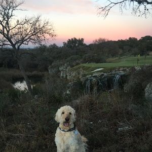 Meet your Posher, Deborah